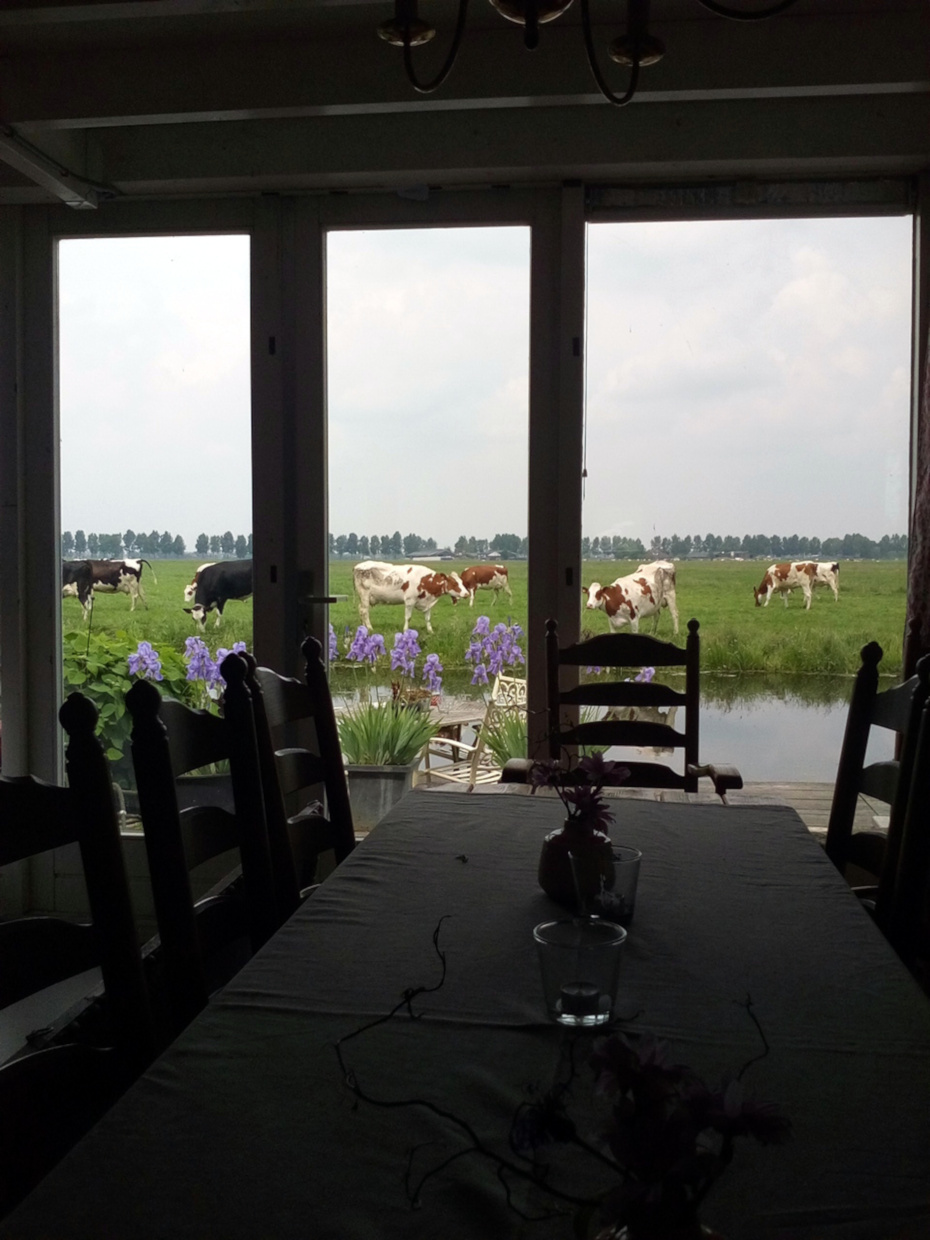 Accommodatie foto 12