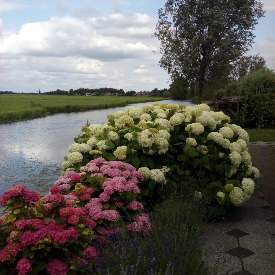 Accommodatie foto 14